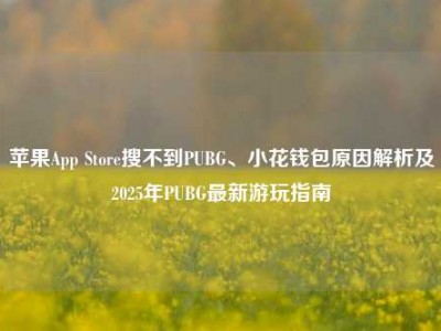苹果App Store搜不到PUBG、小花钱包原因解析及2025年PUBG最新游玩指南