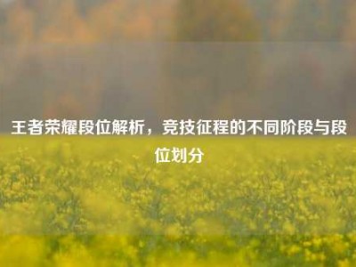 王者荣耀段位解析，竞技征程的不同阶段与段位划分