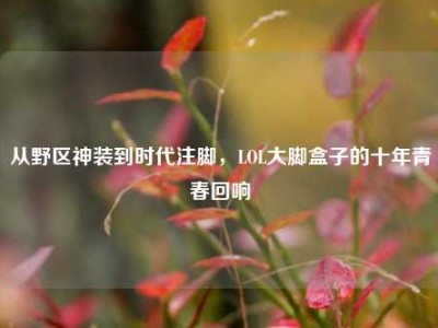从野区神装到时代注脚，LOL大脚盒子的十年青春回响