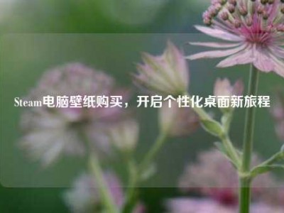 Steam电脑壁纸购买，开启个性化桌面新旅程