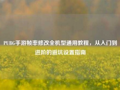 PUBG手游帧率修改全机型通用教程，从入门到进阶的避坑设置指南