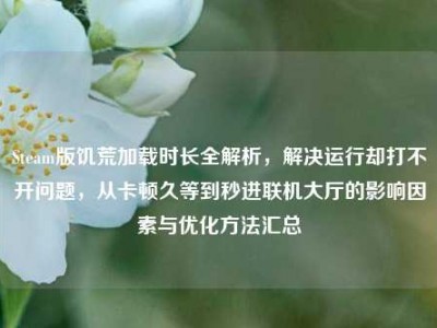 Steam版饥荒加载时长全解析，解决运行却打不开问题，从卡顿久等到秒进联机大厅的影响因素与优化方法汇总