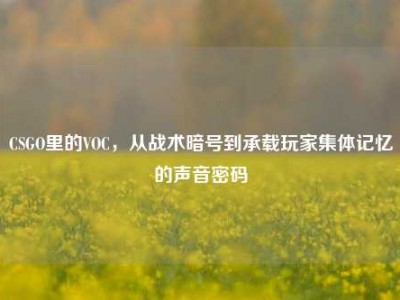 CSGO里的VOC，从战术暗号到承载玩家集体记忆的声音密码
