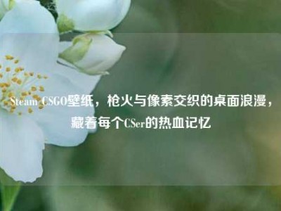 Steam CSGO壁纸，枪火与像素交织的桌面浪漫，藏着每个CSer的热血记忆