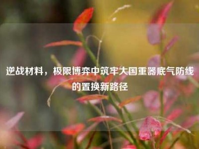 逆战材料，极限博弈中筑牢大国重器底气防线的置换新路径