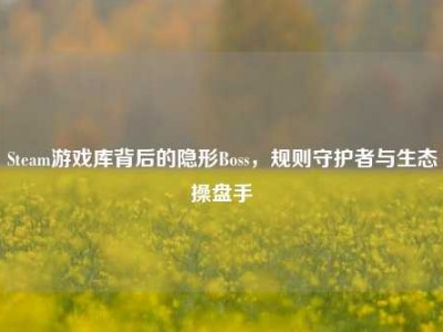Steam游戏库背后的隐形Boss，规则守护者与生态操盘手