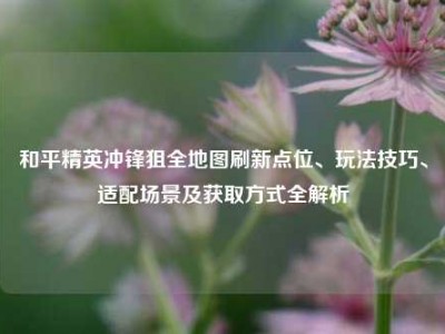 和平精英冲锋狙全地图刷新点位、玩法技巧、适配场景及获取方式全解析