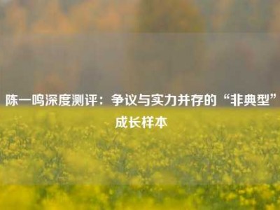 陈一鸣深度测评：争议与实力并存的“非典型”成长样本
