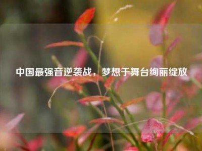 中国最强音逆袭战，梦想于舞台绚丽绽放