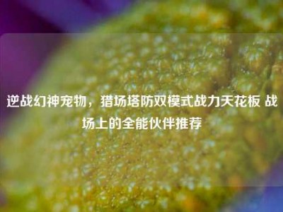 逆战幻神宠物，猎场塔防双模式战力天花板 战场上的全能伙伴推荐