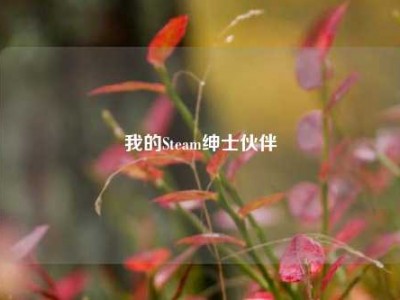 我的Steam绅士伙伴