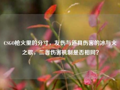 CSGO枪火里的分寸，友伤与道具伤害的冰与火之歌，二者伤害机制是否相同？