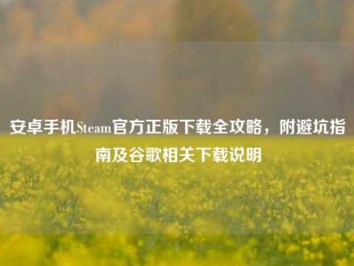 安卓手机Steam官方正版下载全攻略，附避坑指南及谷歌相关下载说明