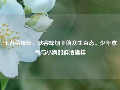 王者荣耀纪，峡谷烽烟下的众生百态、少年意气与小满的鲜活模样