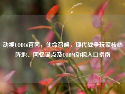 动视COD16官网，使命召唤，现代战争玩家核心阵地、回忆锚点及CODM动视入口指南