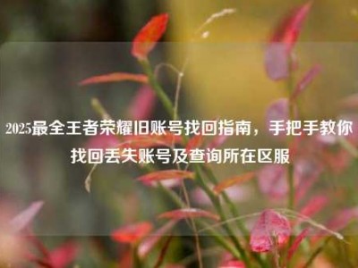 2025最全王者荣耀旧账号找回指南，手把手教你找回丢失账号及查询所在区服