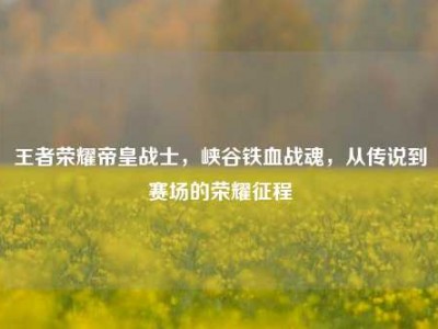王者荣耀帝皇战士，峡谷铁血战魂，从传说到赛场的荣耀征程