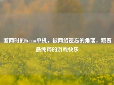 断网时的Steam单机，被网络遗忘的角落，藏着最纯粹的游戏快乐