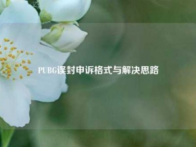 PUBG误封申诉格式与解决思路