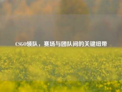CSGO领队，赛场与团队间的关键纽带