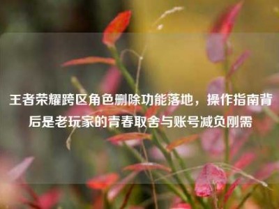 王者荣耀跨区角色删除功能落地，操作指南背后是老玩家的青春取舍与账号减负刚需