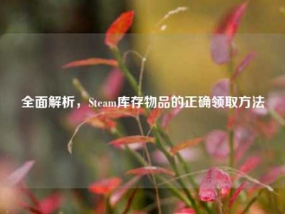 全面解析，Steam库存物品的正确领取方法