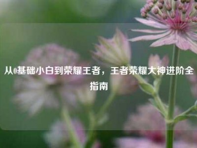 从0基础小白到荣耀王者，王者荣耀大神进阶全指南