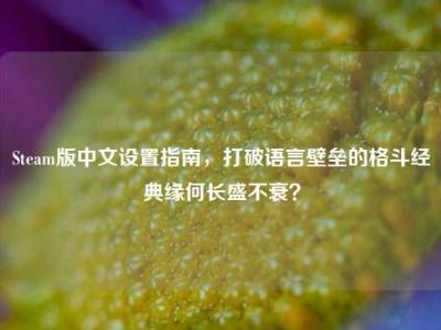Steam版中文设置指南，打破语言壁垒的格斗经典缘何长盛不衰？