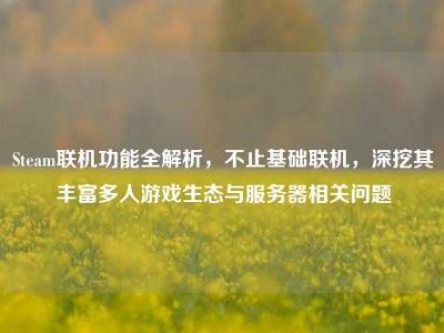 Steam联机功能全解析，不止基础联机，深挖其丰富多人游戏生态与服务器相关问题