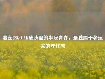 藏在CSGO AK皮肤里的半段青春，是独属于老玩家的年代感