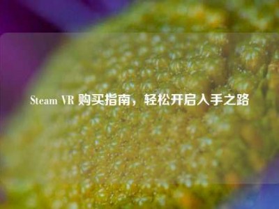 Steam VR 购买指南，轻松开启入手之路