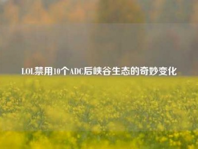 LOL禁用10个ADC后峡谷生态的奇妙变化