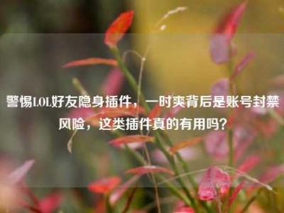 警惕LOL好友隐身插件，一时爽背后是账号封禁风险，这类插件真的有用吗？