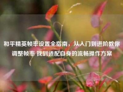 和平精英帧率设置全指南，从入门到进阶教你调整帧率 找到适配自身的流畅操作方案