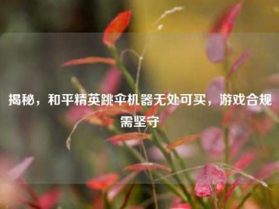 揭秘，和平精英跳伞机器无处可买，游戏合规需坚守