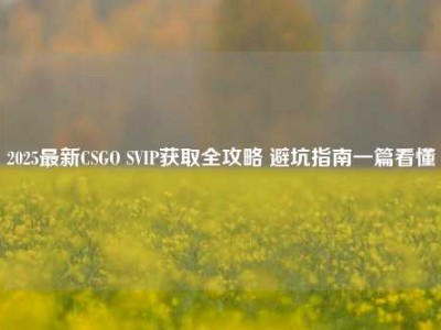 2025最新CSGO SVIP获取全攻略 避坑指南一篇看懂