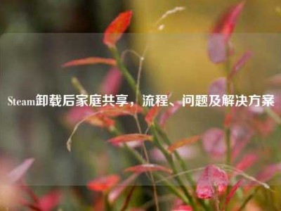 Steam卸载后家庭共享，流程、问题及解决方案