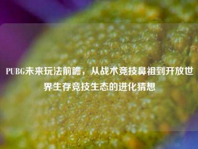 PUBG未来玩法前瞻，从战术竞技鼻祖到开放世界生存竞技生态的进化猜想