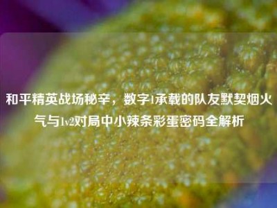 和平精英战场秘辛，数字1承载的队友默契烟火气与1v2对局中小辣条彩蛋密码全解析