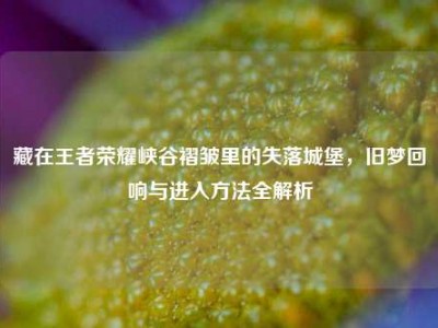 藏在王者荣耀峡谷褶皱里的失落城堡，旧梦回响与进入方法全解析