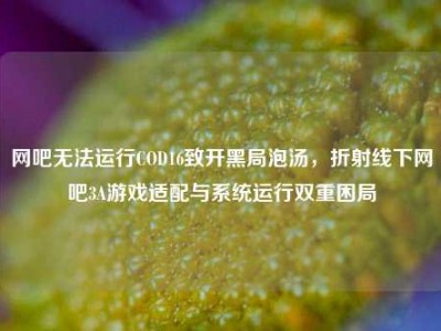 网吧无法运行COD16致开黑局泡汤，折射线下网吧3A游戏适配与系统运行双重困局