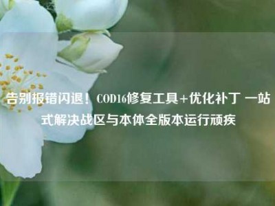 告别报错闪退！COD16修复工具+优化补丁 一站式解决战区与本体全版本运行顽疾