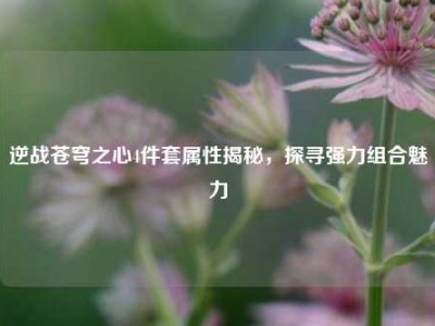 逆战苍穹之心4件套属性揭秘，探寻强力组合魅力