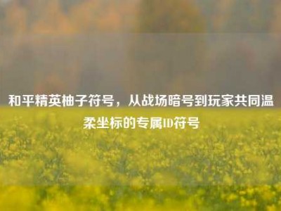 和平精英柚子符号，从战场暗号到玩家共同温柔坐标的专属ID符号