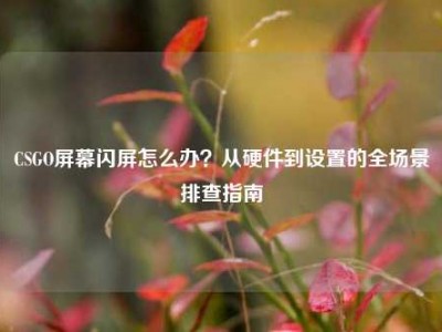 CSGO屏幕闪屏怎么办？从硬件到设置的全场景排查指南