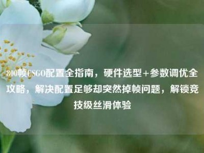 800帧CSGO配置全指南，硬件选型+参数调优全攻略，解决配置足够却突然掉帧问题，解锁竞技级丝滑体验