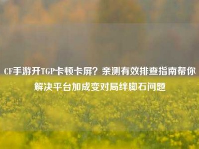 CF手游开TGP卡顿卡屏？亲测有效排查指南帮你解决平台加成变对局绊脚石问题