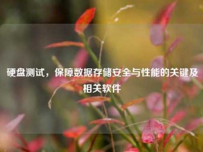 硬盘测试，保障数据存储安全与性能的关键及相关软件