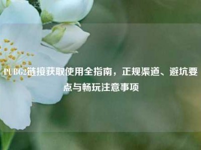 PUBG2链接获取使用全指南，正规渠道、避坑要点与畅玩注意事项