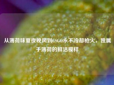 从薄荷味夏夜晚风到CSGO永不冷却枪火，独属于薄荷的鲜活模样